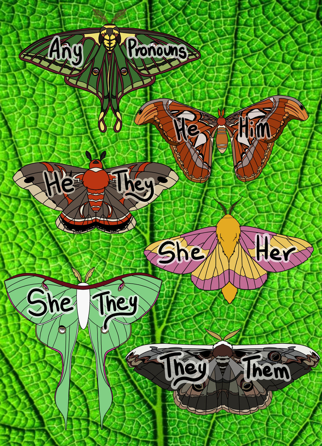 Moth Pronoun 2" Acrylic Pins