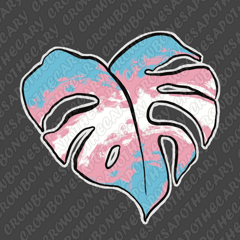 Pride Monstera Leaf - 2" Vinyl Sticker