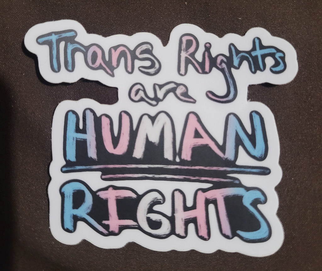 TRANS RIGHTS - 3 Inch Vinyl Sticker